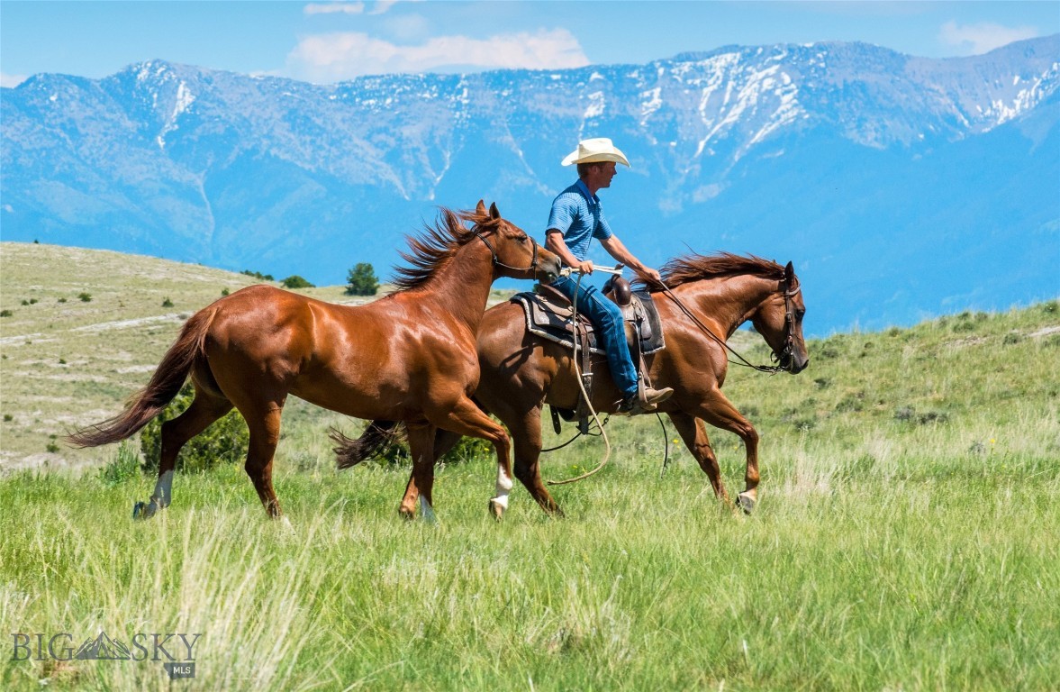 Gallatin River Ranch - Land