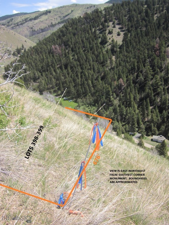 Ponderosa Pines - Land