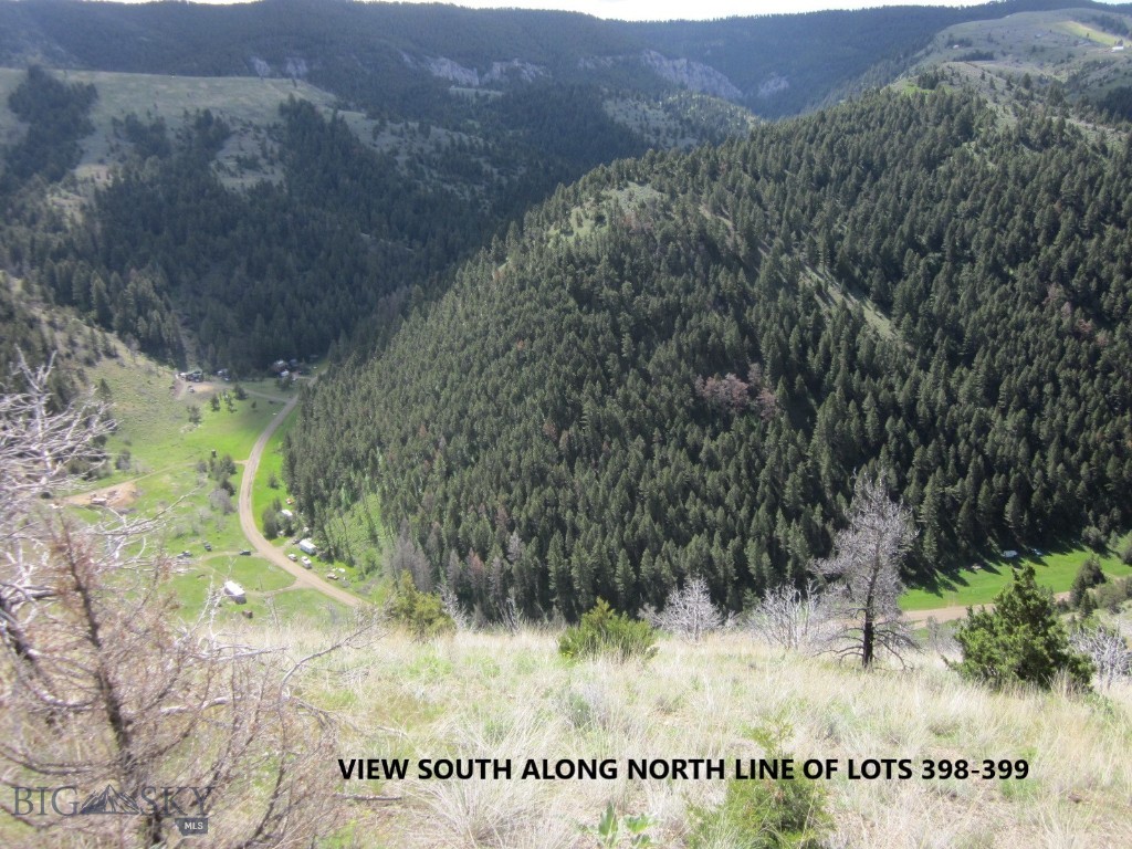 Ponderosa Pines - Land
