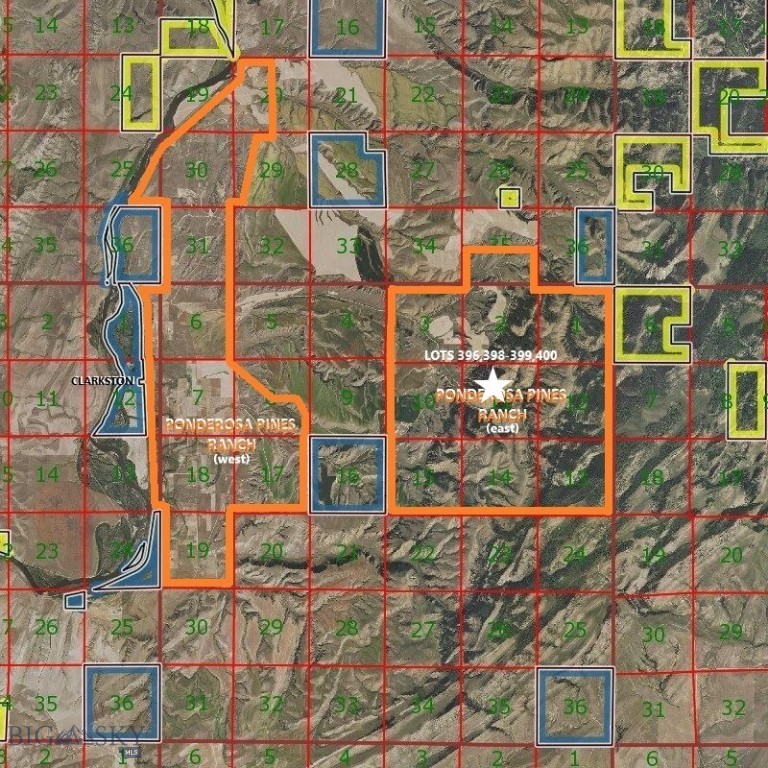 Ponderosa Pines - Land