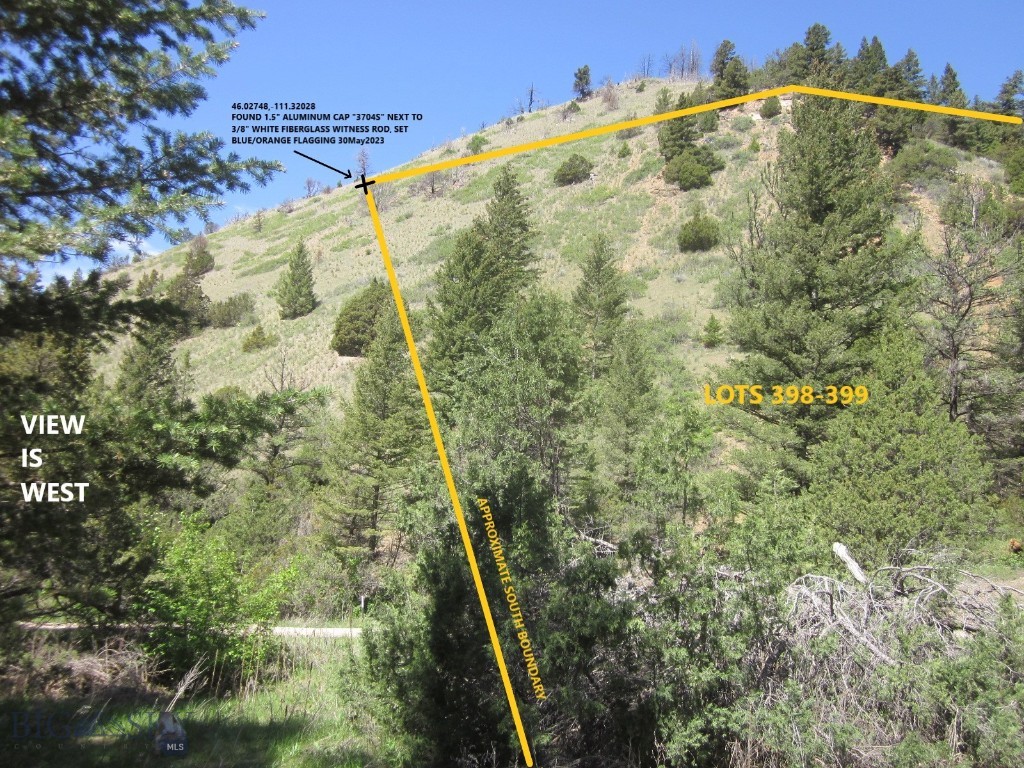 Ponderosa Pines - Land