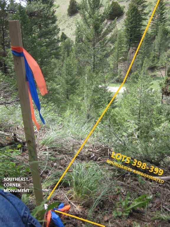 Ponderosa Pines - Land