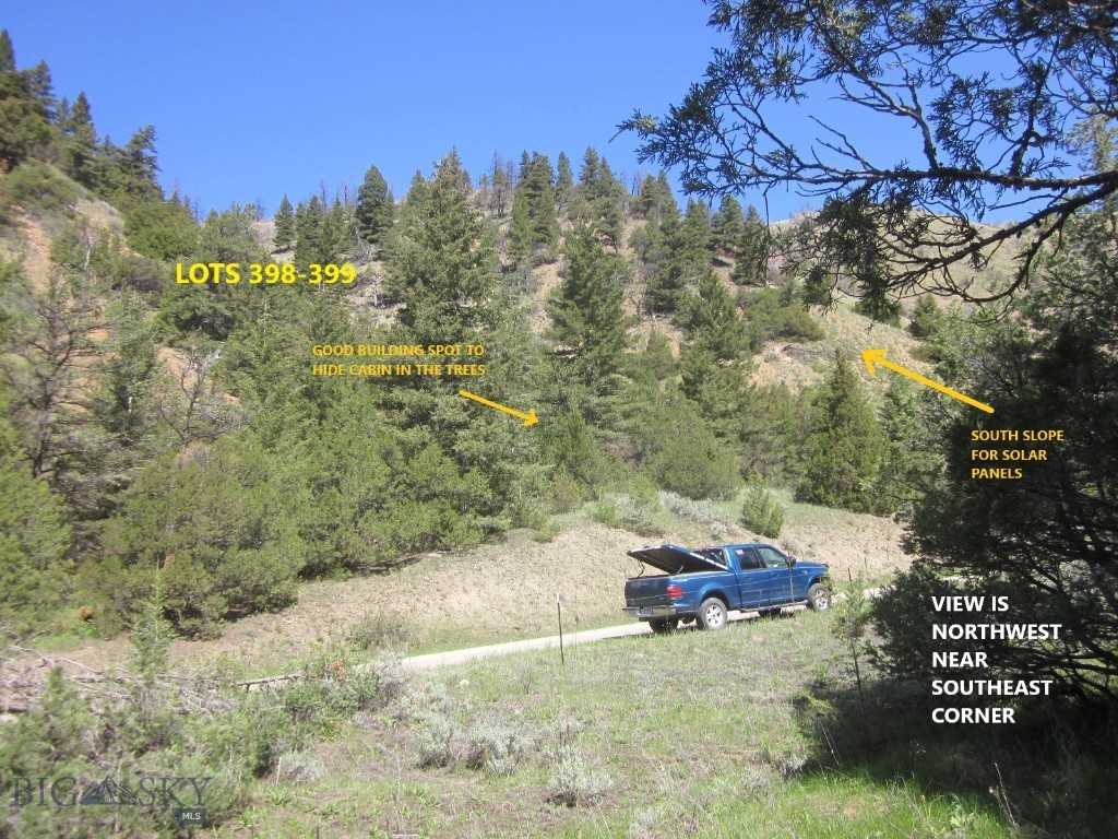 Ponderosa Pines - Land