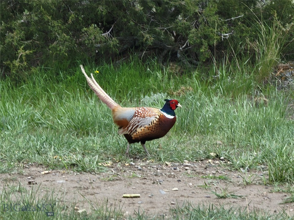 Gallatin River Ranch - Residential