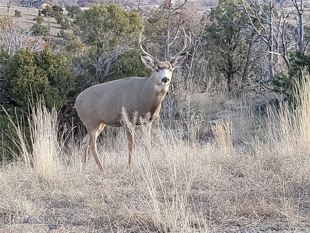 Gallatin River Ranch - Residential