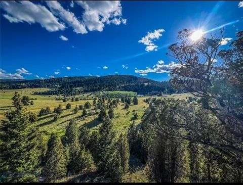 116115 S Buxton Butte MT 59750