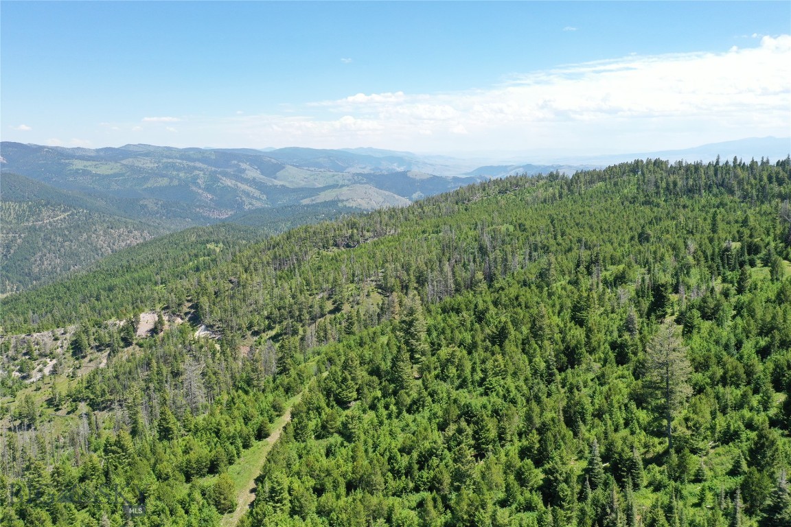 15 Tract, Garnet Range