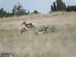 Gallatin River Ranch - Land
