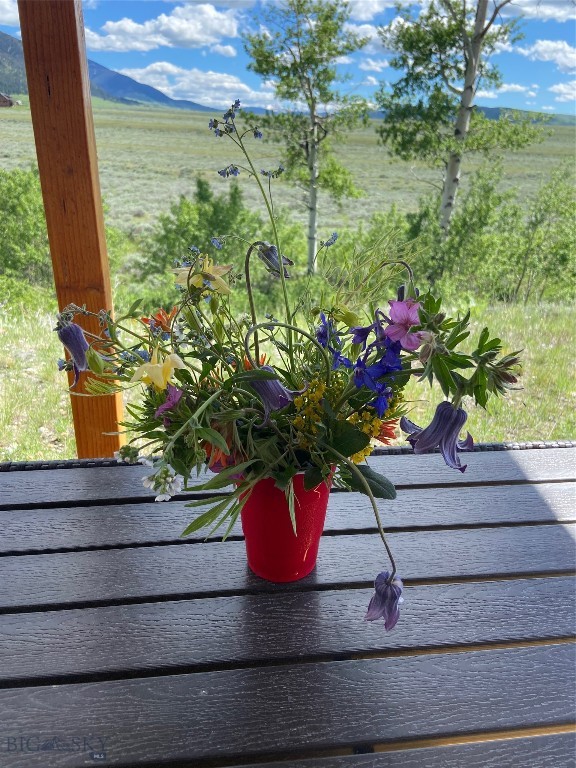 Sportsmans Paradise - Land