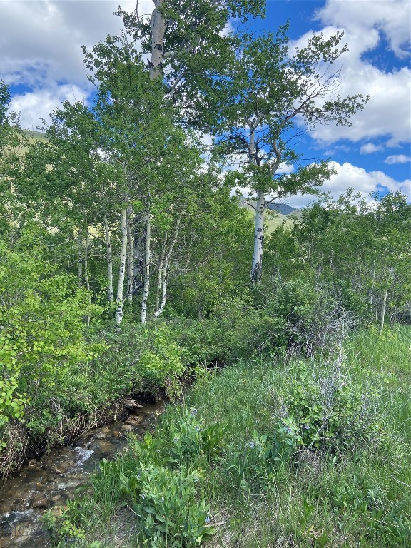 Lot 39B Sportsman's Paradise