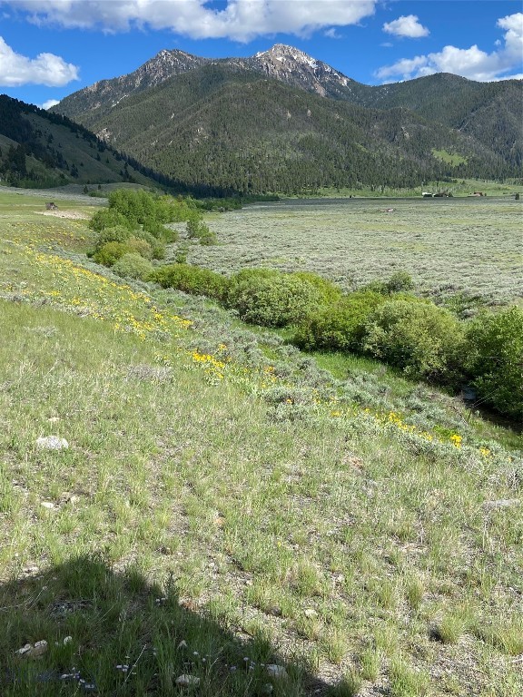 Lot 39B Sportsman's Paradise