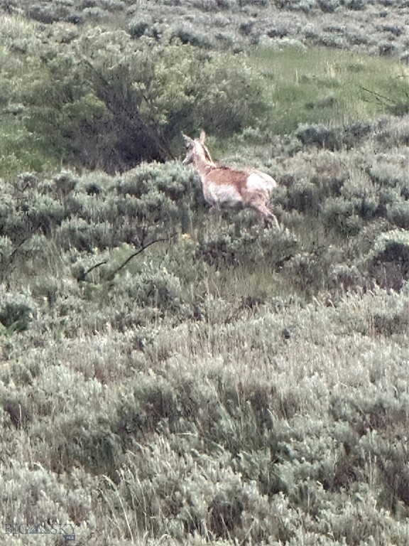 Sportsmans Paradise - Land