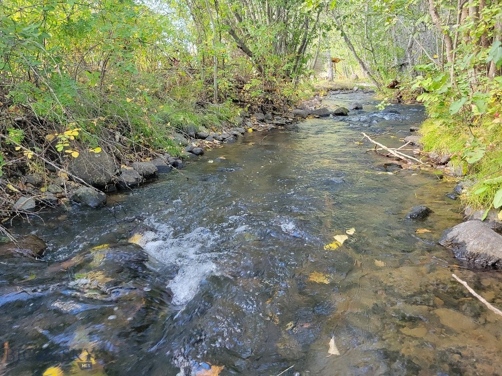 Forest Creek - Land