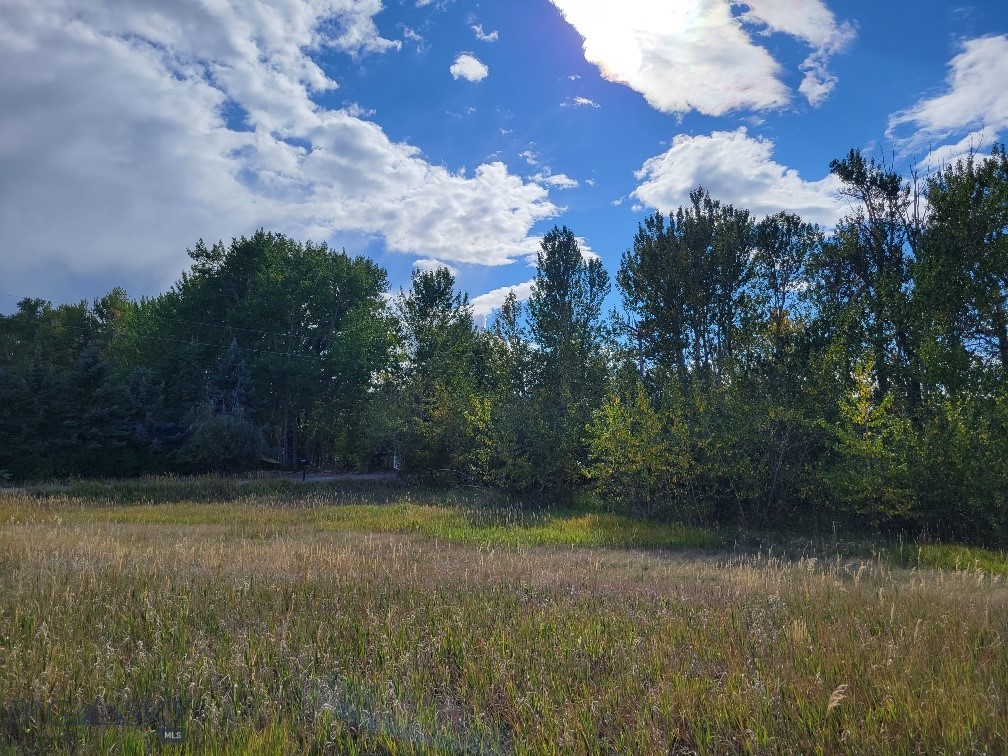 Forest Creek - Land