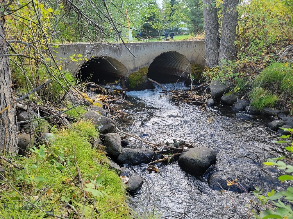 Forest Creek - Land