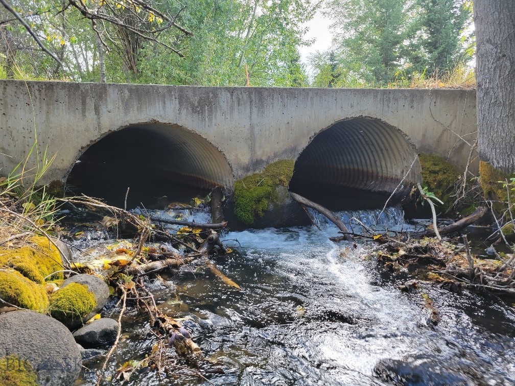 Forest Creek - Land