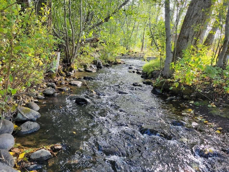 Rare Hyalite Creekfront Lot in South Bozeman – Seller Financing Available!

Don’t miss this once-in-a-lifetime opportunity to own one of the last buildable lots on Hyalite Creek! This picturesque 1-acre property boasts mature trees, direct creek frontage, and unbeatable access to outdoor recreation—all just a 10-minute drive to downtown Bozeman.

Priced below appraisal for quick sale, and seller financing is available, making this an ideal opportunity for both investors and dream-home builders.  Ask me for the appraisal, I'll share it with you!

Property Highlights:

1 acre with creek frontage and mature trees

Located in desirable South Bozeman, only 1.2 miles from National Forest land adjoining Yellowstone National Park

Easy access to Hyalite Reservoir, hiking, mountain biking, cross-country and ice skiing, rock/ice climbing, fishing, hunting, and more

No zoning restrictions; protective covenants (from the 1980s) allow for residential use

Water line already to the lot

Approved buildable site by DEQ/County—not in a floodplain

Buyer to install septic system

Whether you're looking to build a private retreat or invest in a piece of Montana's most iconic landscape, this property delivers the perfect combination of natural beauty, freedom, and location.