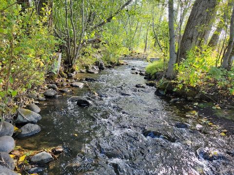 Photo of NHN Hyalite Canyon Road, Bozeman, MT 59715 (MLS # 404356)
