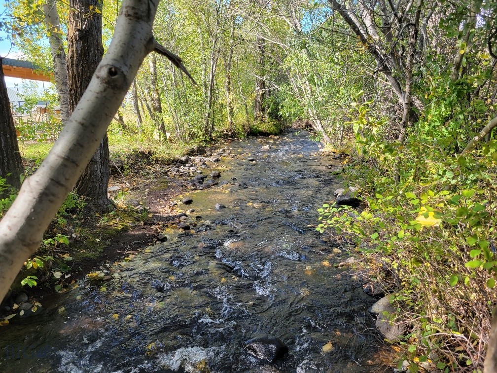 Forest Creek - Land