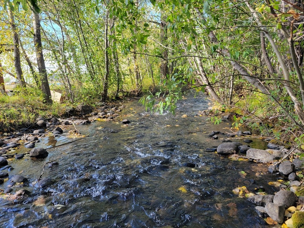Forest Creek - Land