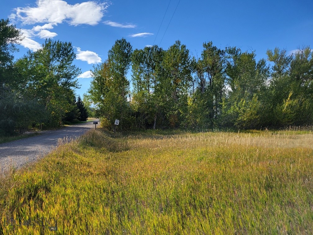 Forest Creek - Land
