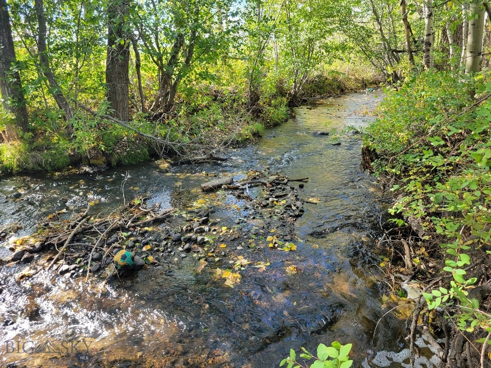 Forest Creek - Land