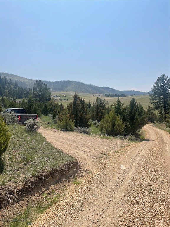 Ponderosa Pines - Land