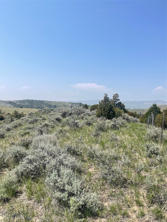 Ponderosa Pines - Land