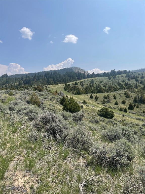 Beautiful lot with a mix of vegetation and views in Ponderosa Pines. Bring your animals and enjoy the privacy of this special property.