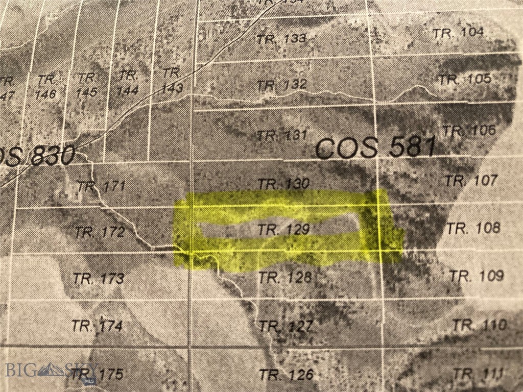 Ponderosa Pines - Land