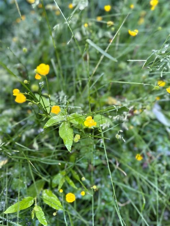 Thompson Additions - Residential