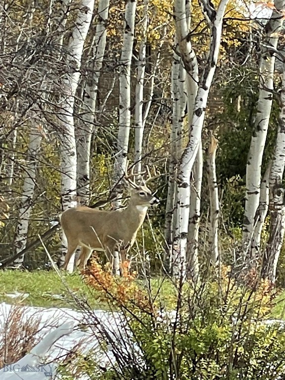 Thompson Additions - Residential