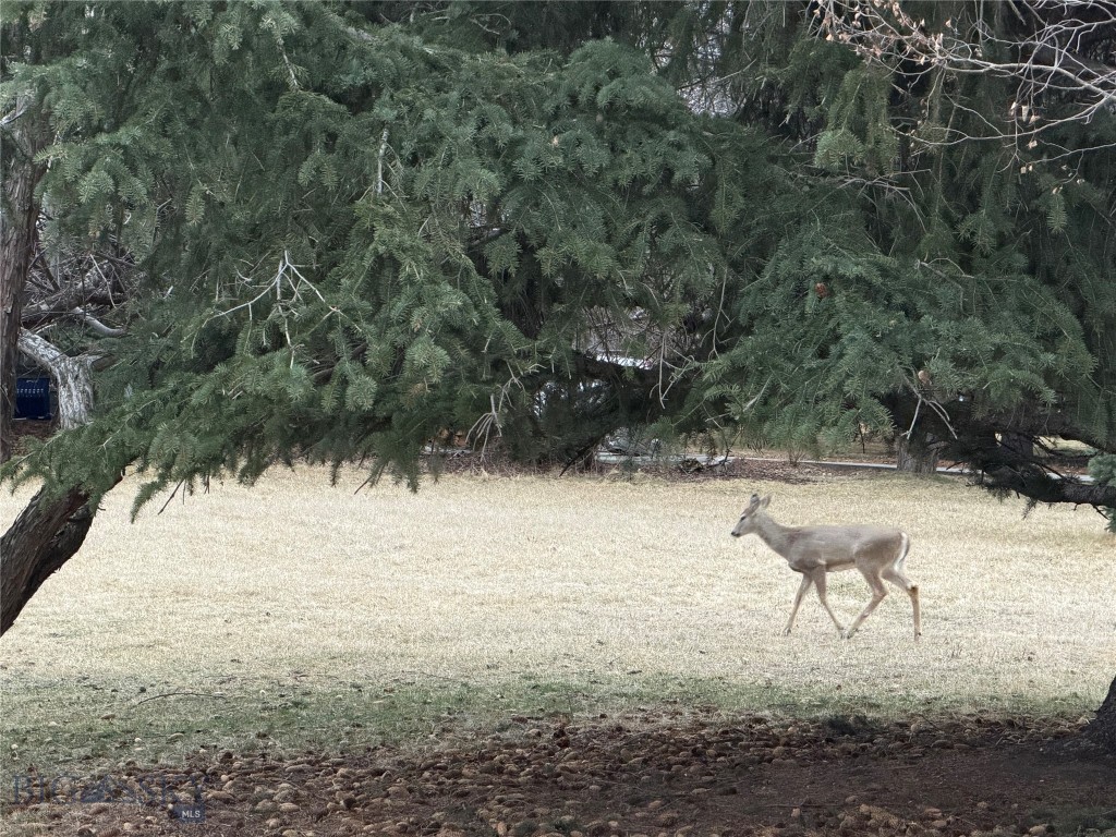 Thompson Additions - Residential