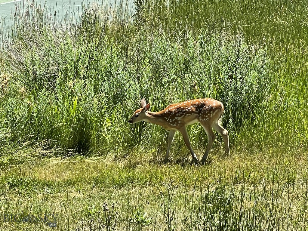 Thompson Additions - Residential