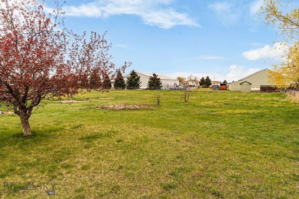 Bon Marron - Residential