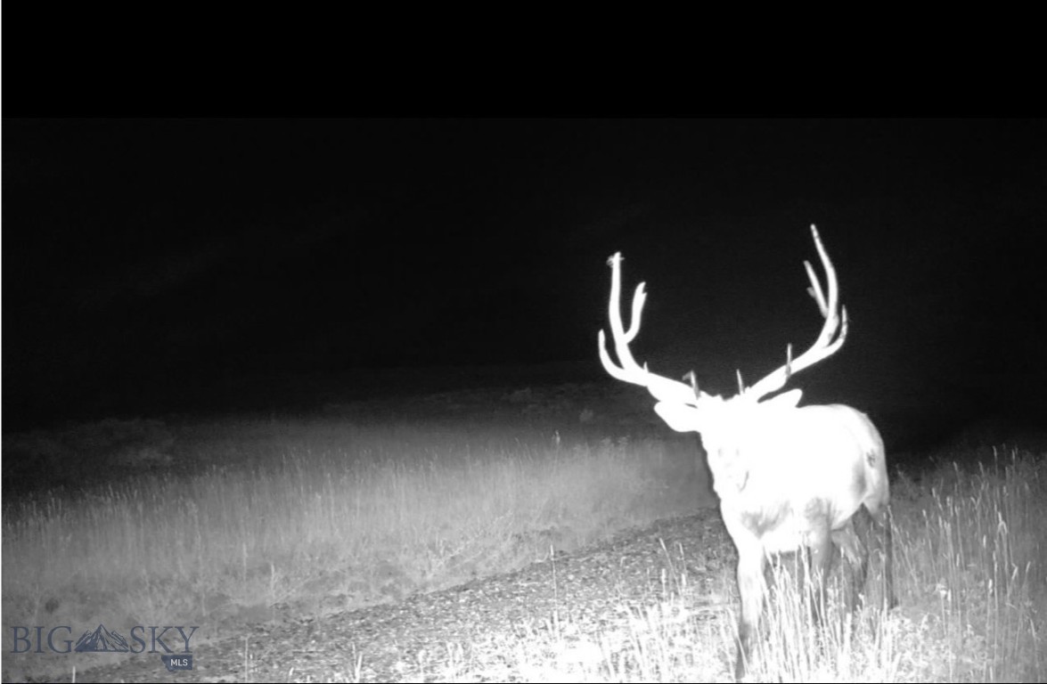 Springhill Vistas Ranch at Four Bar Ranches