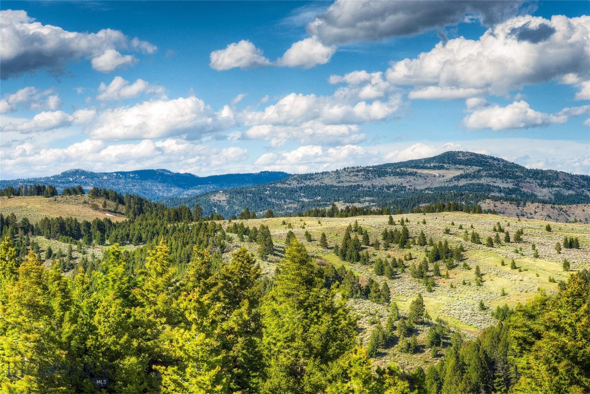Timberline Creek - Residential