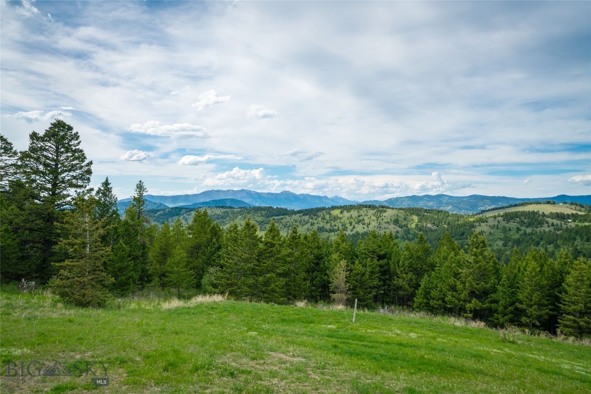 Timberline Creek - Residential