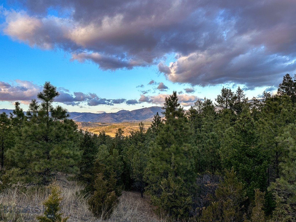 Eldorado Country Estates - Land