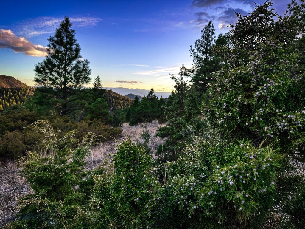 Eldorado Country Estates - Land