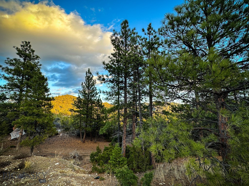 Eldorado Country Estates - Land