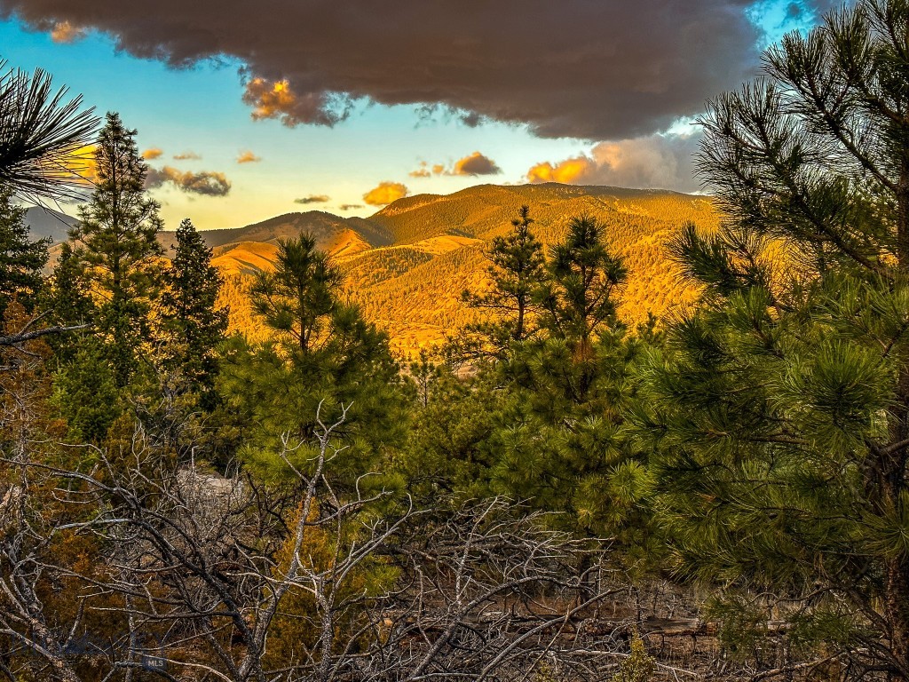 Eldorado Country Estates - Land