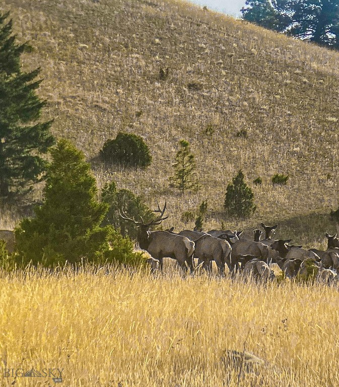 Eldorado Country Estates - Land