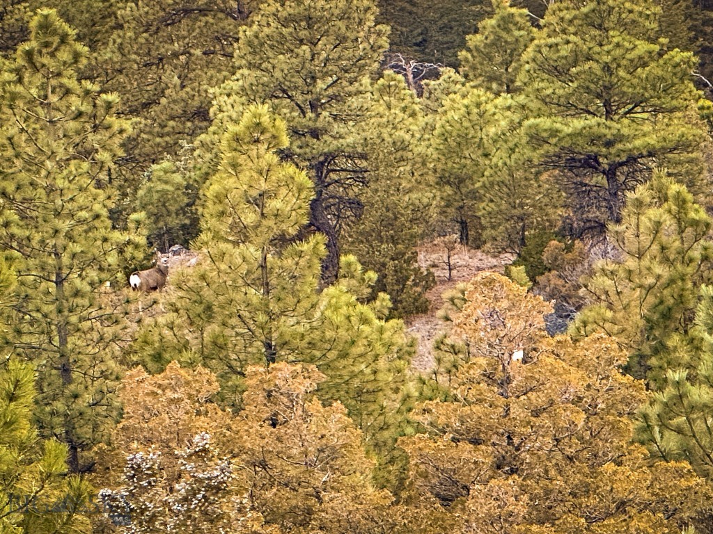 Eldorado Country Estates - Land