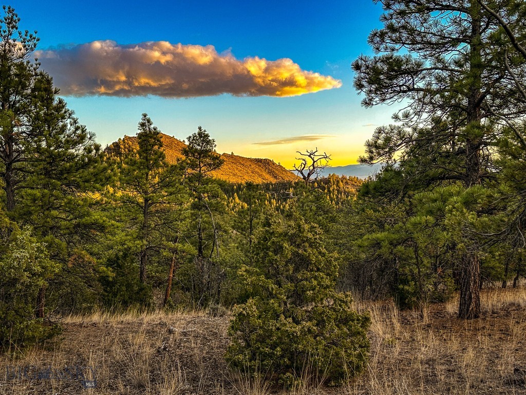 Eldorado Country Estates - Land