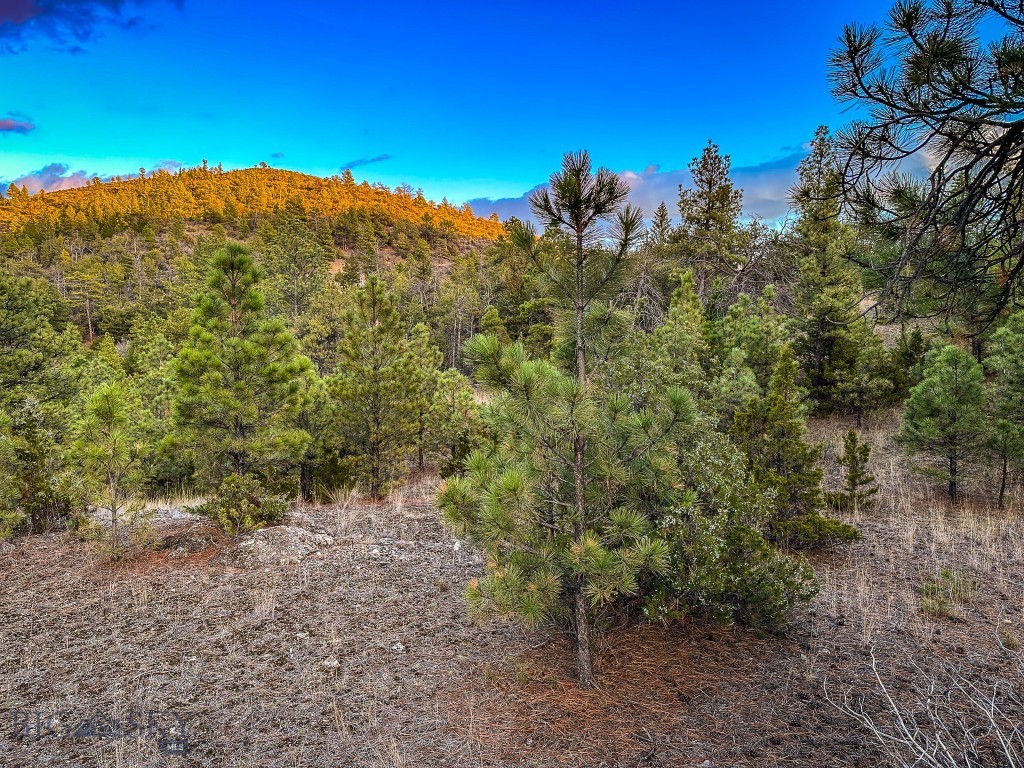 Eldorado Country Estates - Land