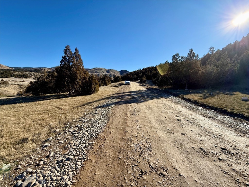 Ponderosa Pines - Residential