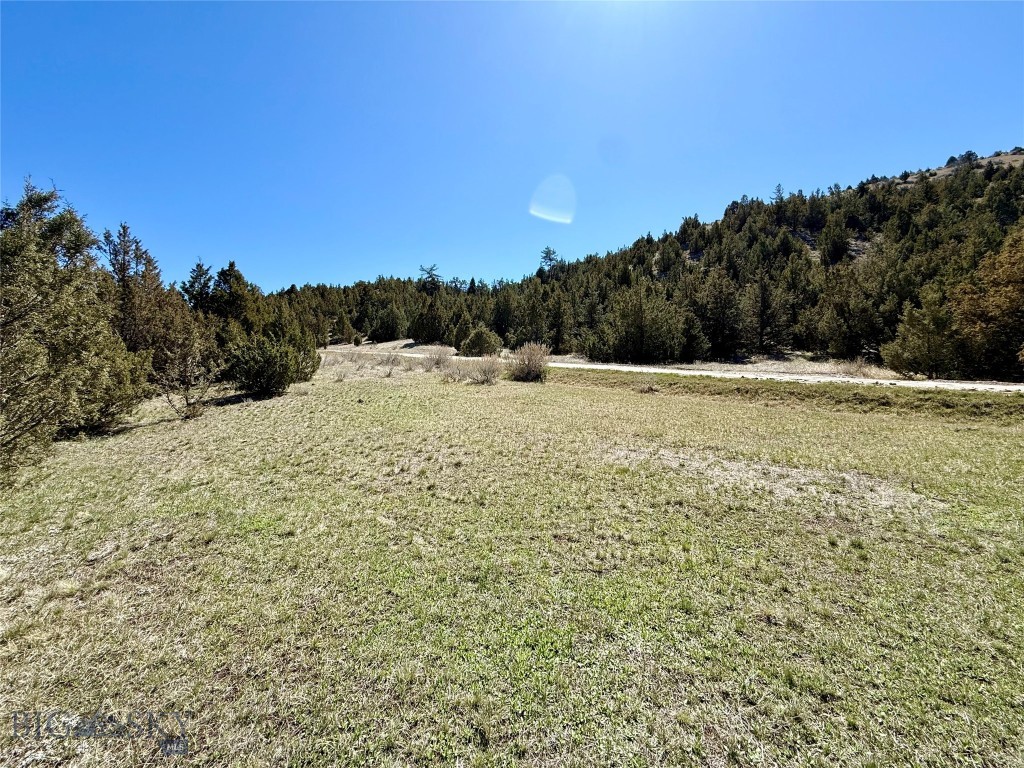 Ponderosa Pines - Residential