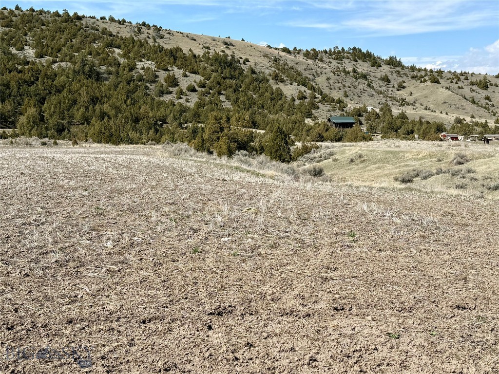 Ponderosa Pines - Residential