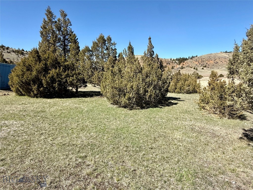 Ponderosa Pines - Residential